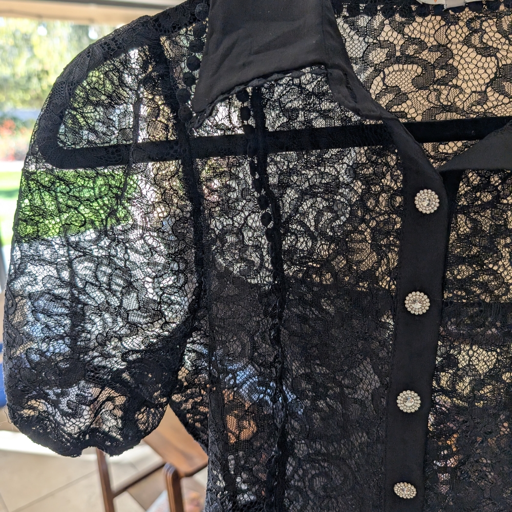 Elegant Black Lace Blouse
